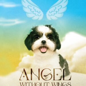 Angel(s) Without Wings Adult's Book